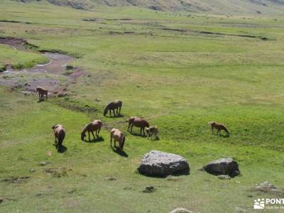 Valles Occidentales; Hecho y Ansó; parque nacional sierra nevada calatañazor españa armerias en sego